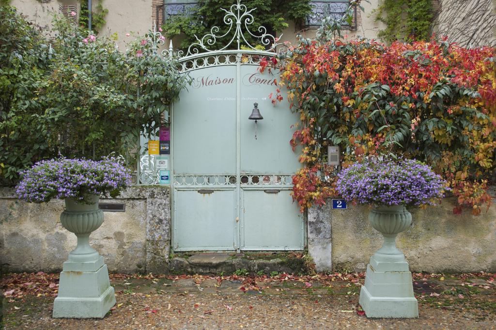 Maison Conti Bed & Breakfast Montmirail  Exterior foto